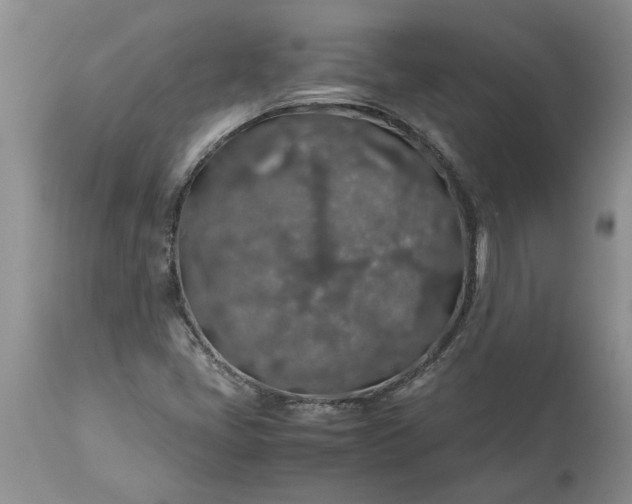 X0000113601405200910021730