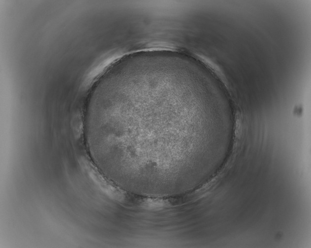 X0000113601407200910021730