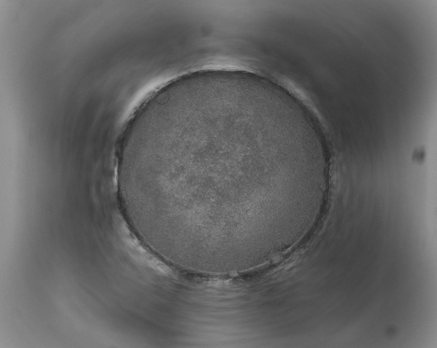 X0000113601408200910021730