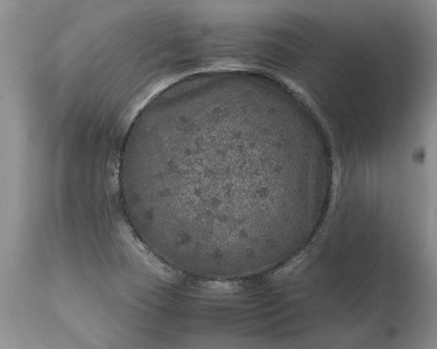 X0000113601409200910021730