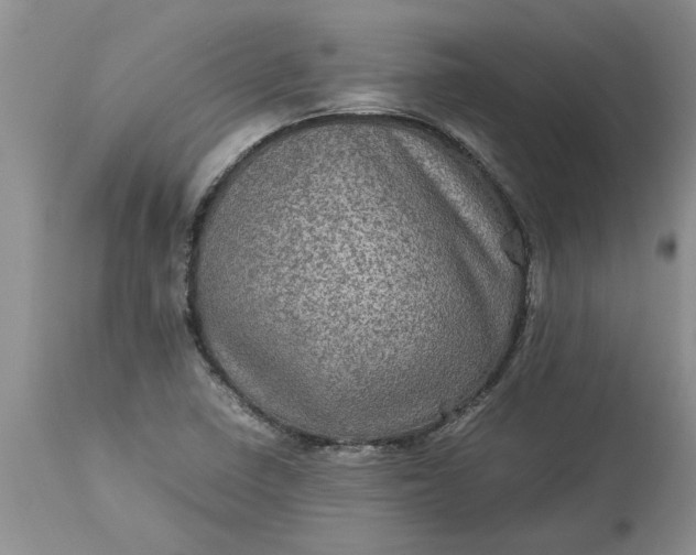 X0000113601410200910021730