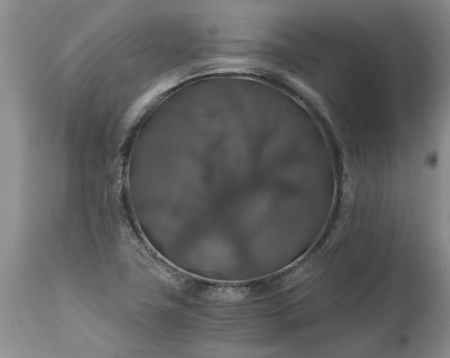 X0000113601411200910021730