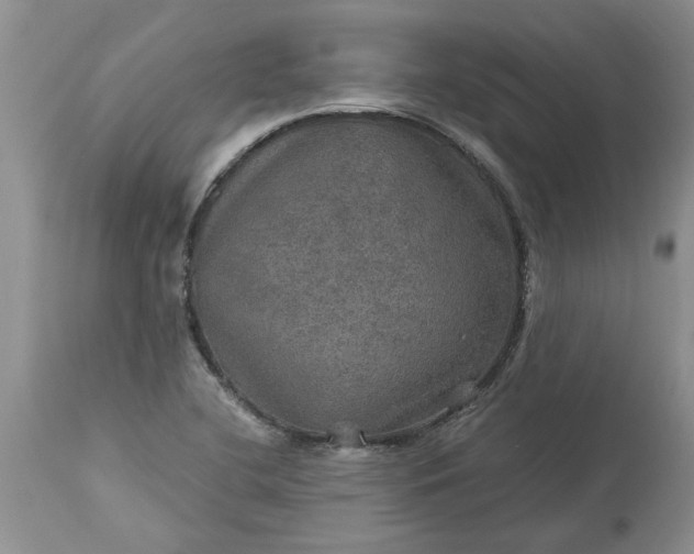 X0000113601412200910021730