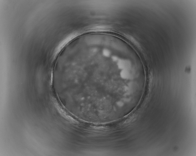 X0000113601413200910021730