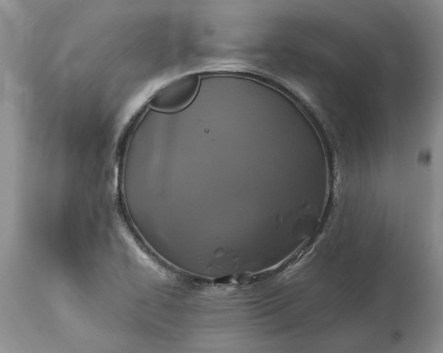 X0000113601414200910021730