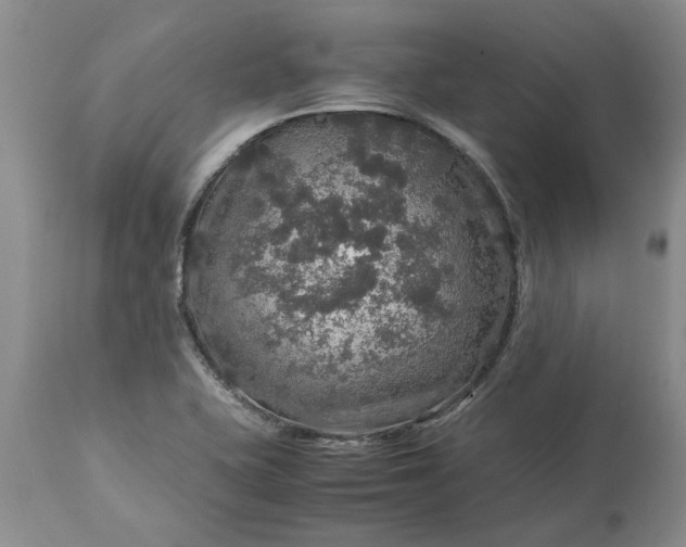 X0000113601415200910021730