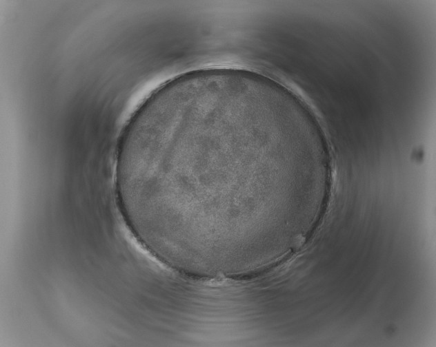 X0000113601416200910021730