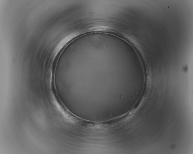 X0000113601418200910021730