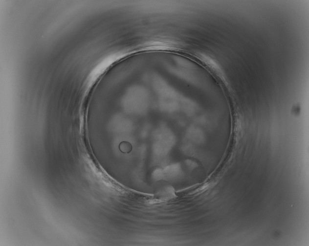 X0000113601419200910021730