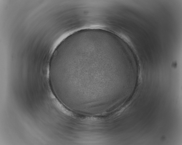 X0000113601420200910021730