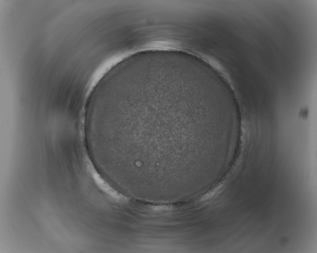 X0000113601421200910021730