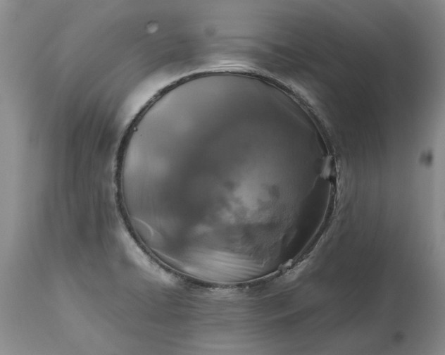 X0000113601422200910021730