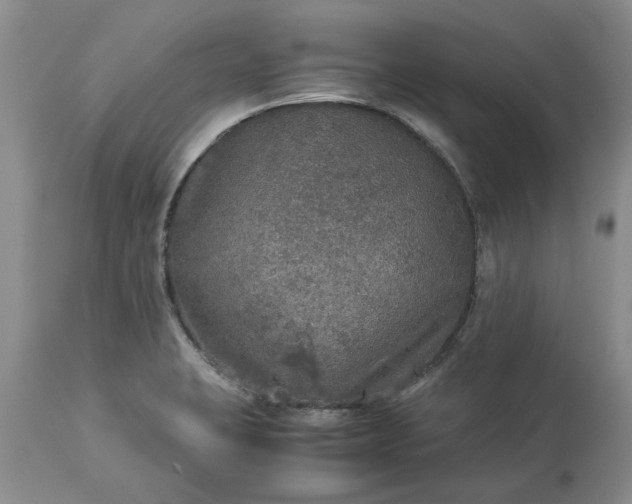 X0000113601423200910021730