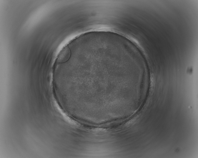 X0000113601424200910021730