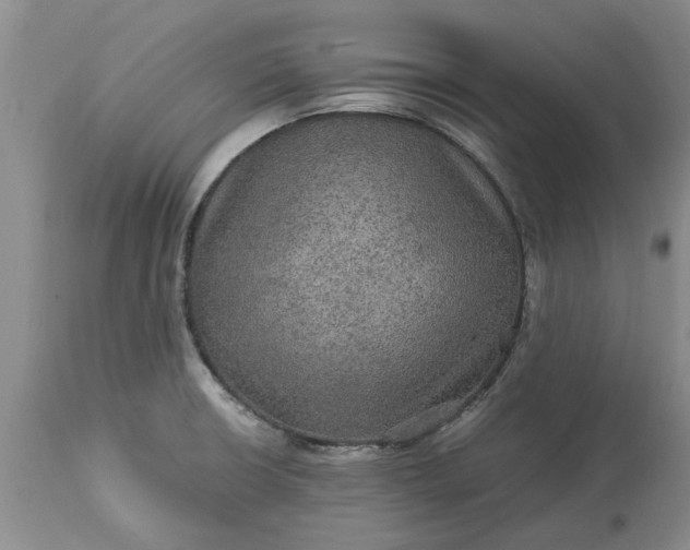 X0000113601426200910021730