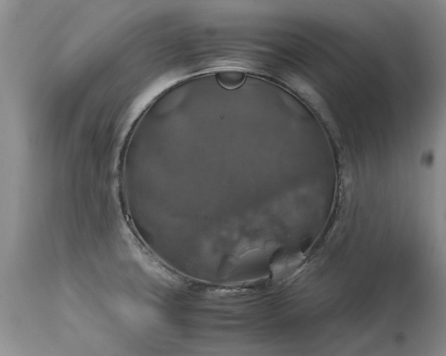 X0000113601427200910021730