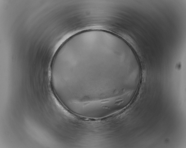 X0000113601428200910021730