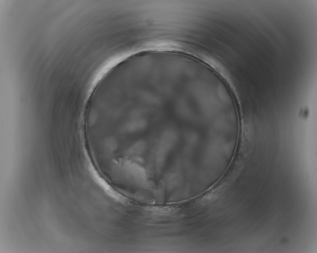 X0000113601429200910021730