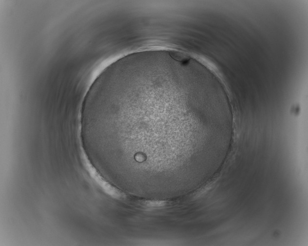 X0000113601431200910021730