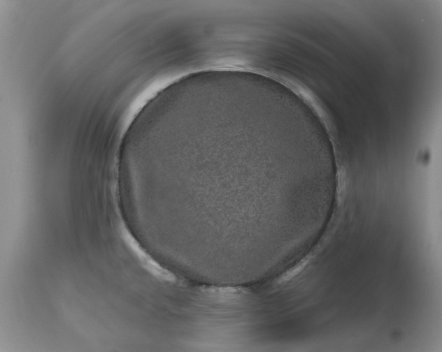 X0000113601432200910021730