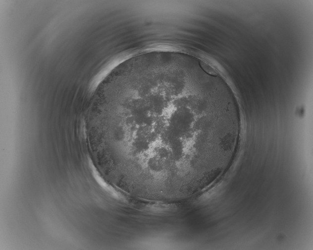 X0000113601433200910021730