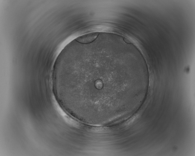 X0000113601434200910021730