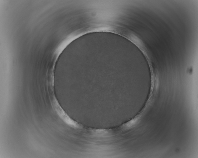 X0000113601436200910021730