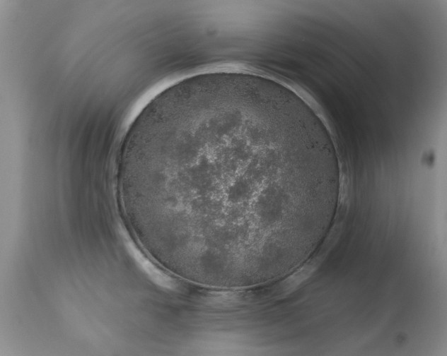 X0000113601438200910021730