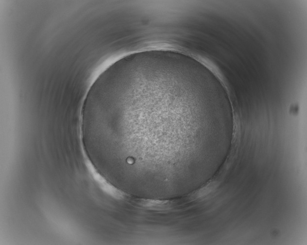 X0000113601439200910021730