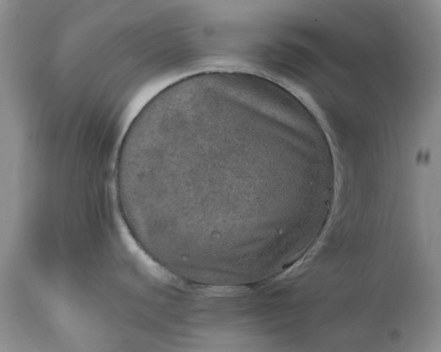 X0000113601440200910021730