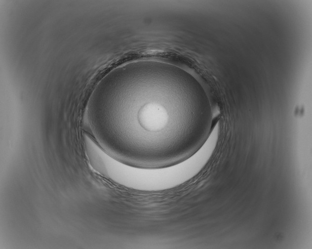 X0000113601441200910021730