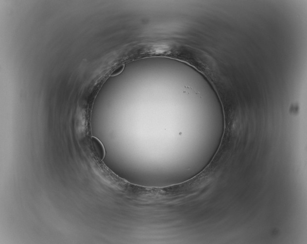 X0000113601442200910021730