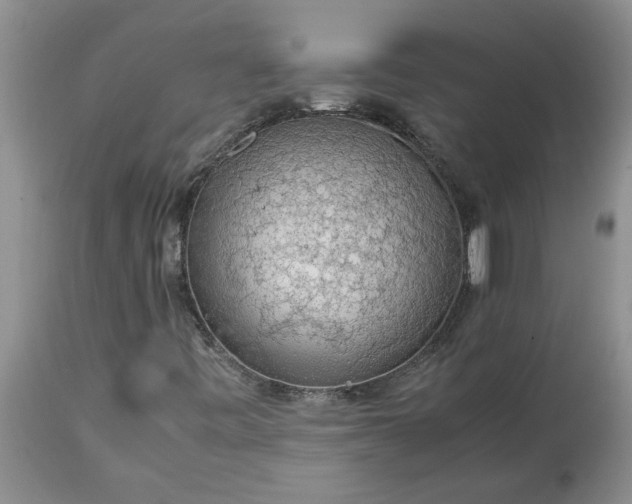 X0000113601443200910021730