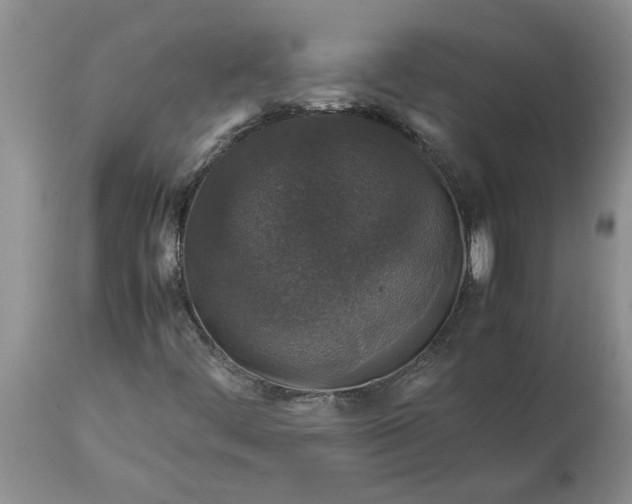 X0000113601444200910021730