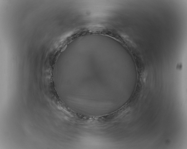 X0000113601445200910021730