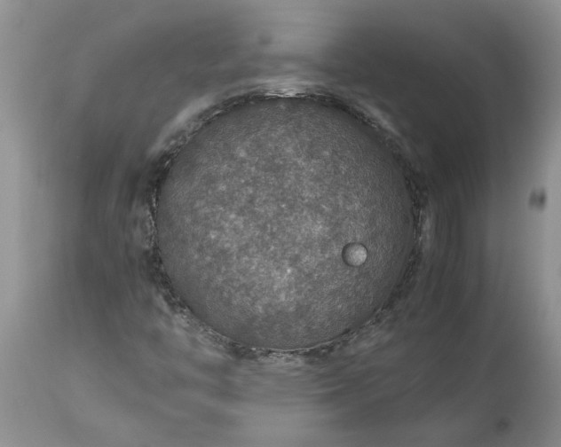 X0000113601446200910021730