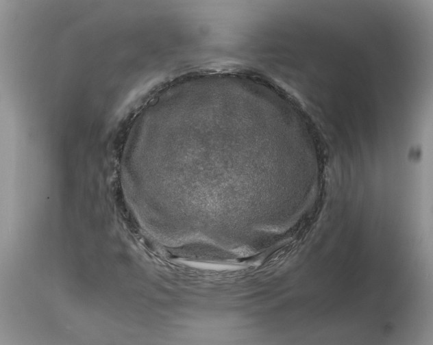 X0000113601447200910021730