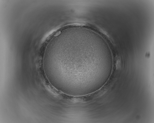 X0000113601448200910021730