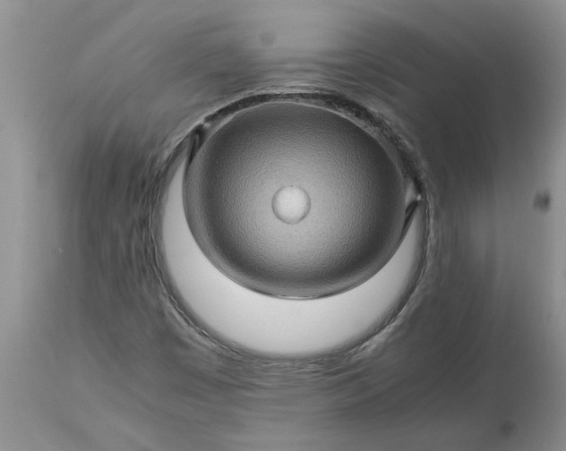 X0000113601449200910021730