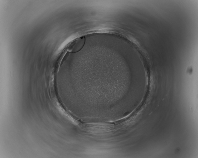 X0000113601450200910021730