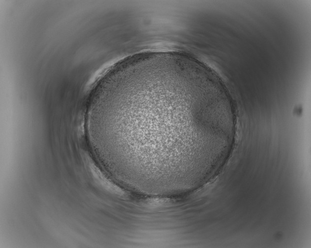 X0000113601451200910021730