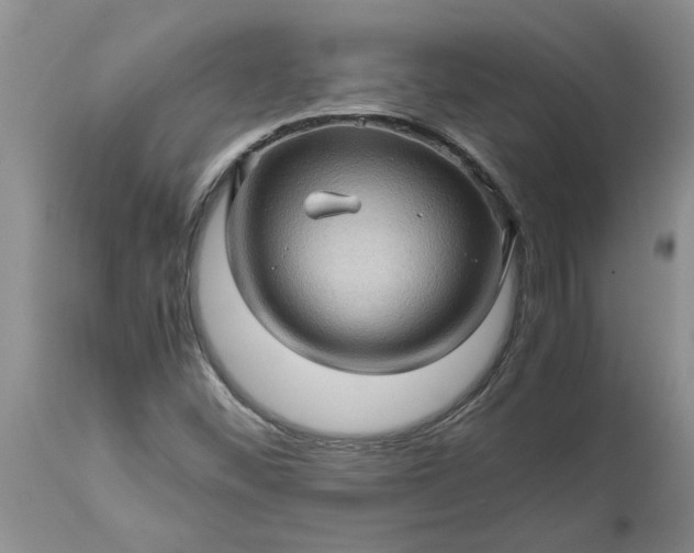 X0000113601452200910021729