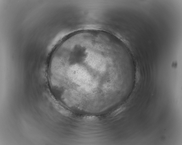 X0000113601454200910021729