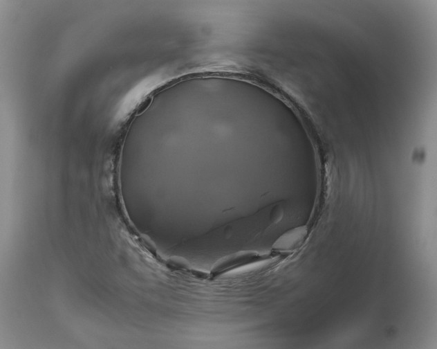 X0000113601455200910021729