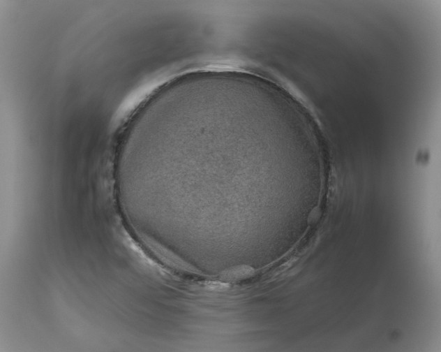 X0000113601456200910021729