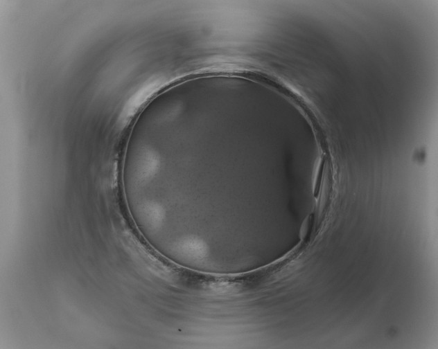 X0000113601459200910021729