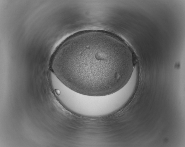 X0000113601460200910021729