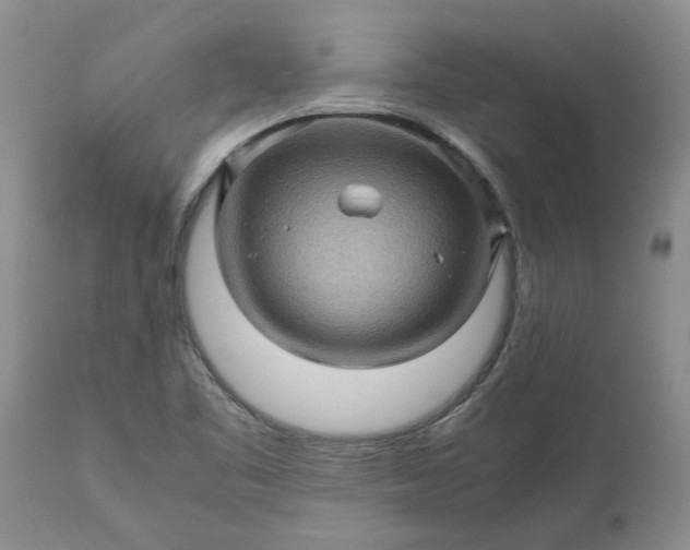 X0000113601461200910021729