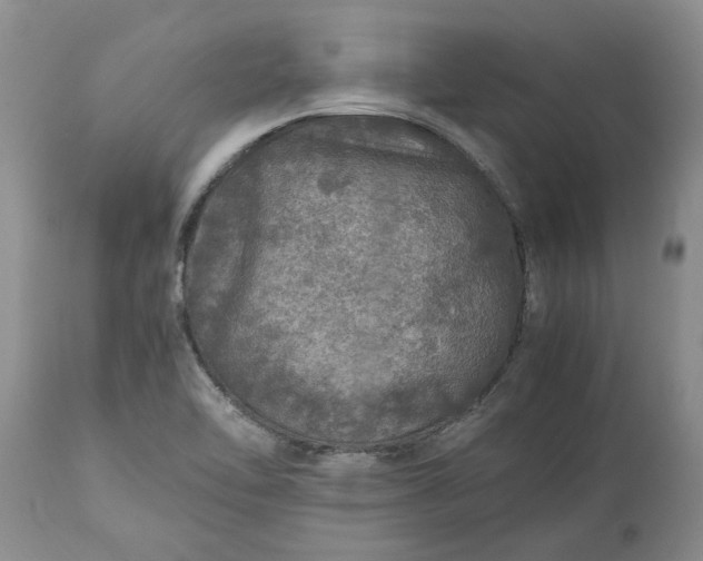 X0000113601462200910021729