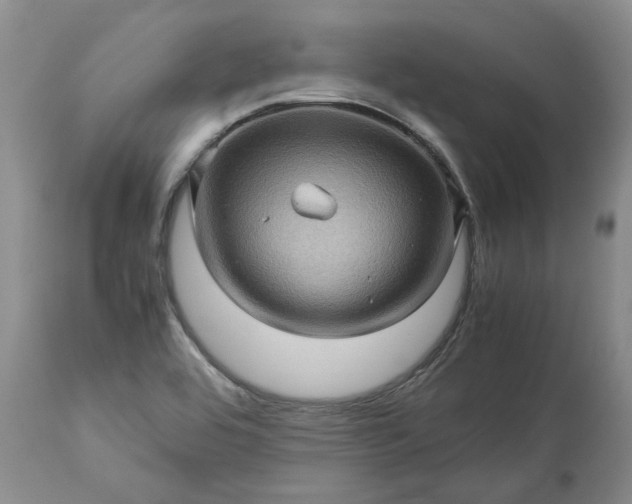 X0000113601464200910021729